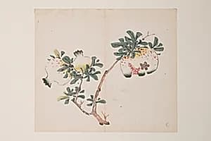 Page from the Ten Bamboo Studio Manual of Painting and Calligraphy by Hu Zhengyan
