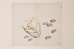 Page from the Ten Bamboo Studio Manual of Painting and Calligraphy by Hu Zhengyan