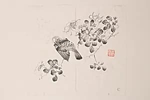 Page from Shi Zhu Zhai by Unknown Artist
