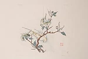 Page from Shi Zhu Zhai by Unknown Artist