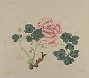 Page from Shi Zhu Zhai by Unknown Artist
