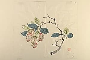 Page from Shi Zhu Zhai by Unknown Artist