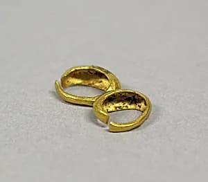 Pair of Earrings by Unknown Artist