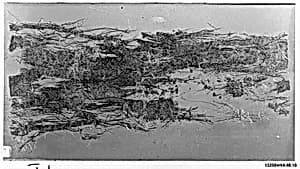 Fragment by Unknown Artist