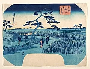 View of Iris Gardens at Horikiri by Utagawa Hiroshige II