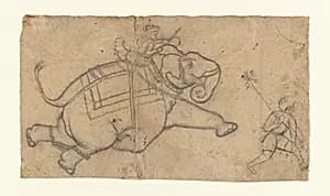 Running Elephant (recto); Practice Sheet of Elephant Sketches (verso) by Unknown Artist