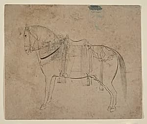 Sketch of a Horse by Unknown Artist