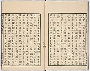 Illustrated book by Unknown Artist