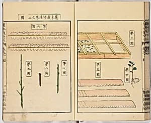 Illustrated book by Unknown Artist