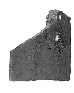 Shard (Study Collection) by Unknown Artist
