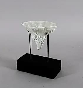 Cup in Shape of Rhinoceros Horn by Unknown Artist