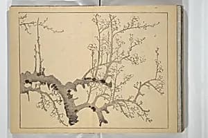 The Four Worthies (Plum, Bamboo, Orchid, Chrysanthemum) (Shikunshi) 竹洞四君子 by Nakabayashi Chikutō 中林竹洞