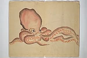 A Picture Book of Practice Sketches (Keiko ehon) 稽古絵本 by Rinsai Ōkubo 林斎大久保