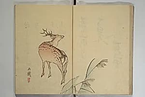The Nanpo Album (Nanpo jō) 南畝帖 by Nagayama Koin (Hirotora)
