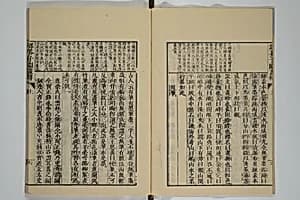 The Mustard Seed Garden Painting Manual (Yakubon Kaishien gaden) 譯本芥子園畫傳 by Kashiwagi Jotei 柏木如亭