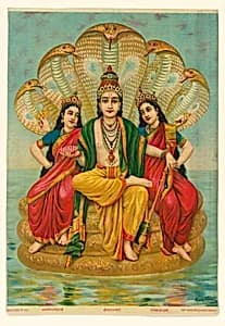 Shesha Narayana by Unknown Artist