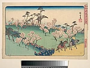 江都名所　飛鳥山はな見|Asukayama Hanami by Utagawa Hiroshige