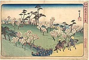 江都名所　飛鳥山はな見|Asukayama Hanami by Utagawa Hiroshige