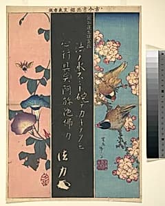 古今書画鑑　熊谷蓮生坊真跡|Bird-and-Flower Paintings by Katsushika Hokusai|Kumagai Naozane
