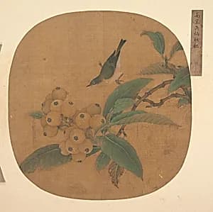 明 佚名 （舊傳）吳炳 枇杷 扇|Bird on a Loquat Tree by Unidentified artist|Wu Bing