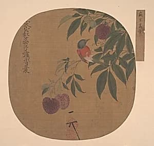 明 佚名（舊傳宋徽宗） 荔枝圖 冊頁|Bird on a Lychee Branch