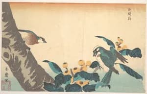 Birds and Flowers