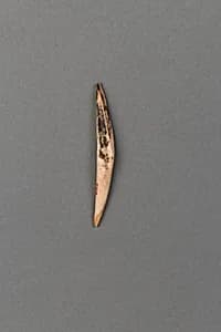 装身具|Body ornament by Unknown Artist