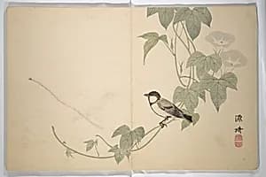 発句集|Collected Haiku Poems (Hokku shū) 発句集 by Genki 源琦 (Komai Ki 駒井琦|Matsumura Goshun 松村呉春|Watanabe Nangaku 渡辺南岳|Mikuma Katen|Fusetsu Yujo