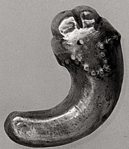 곱은옥 삼국|曲玉 三國|Comma-shaped ornament by Unknown Artist