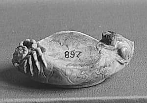清 瑪瑙蛙蟹碟|Dish with frog and crab by Unknown Artist