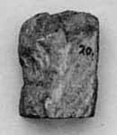 Fragment by Unknown Artist