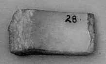Fragment by Unknown Artist