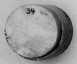 Fragment by Unknown Artist