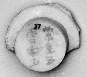 Fragment by Unknown Artist