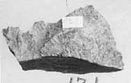 Fragment by Unknown Artist