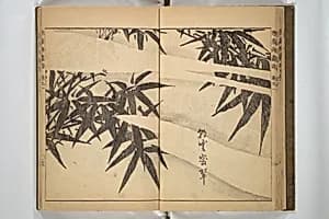 寒葉斎画譜|Kan'yōsai Picture Album (Kan'yōsai gafu) 寒葉斎画譜 by Kan'yōsai 寒葉斎 (Tatebe Ayatari 建部綾足)