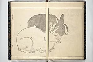 埼鳳画譜|Kihō Picture Album (Kihō gafu 埼鳳画譜) by Kawamura Kihō 河村琦鳳