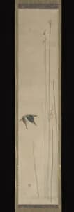 Kingfisher and Bulrushes