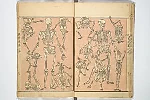 河鍋暁斎画 『暁斎漫画』|Kyōsai Sketchbook (Kyōsai manga) 暁斎漫画 by Kawanabe Kyōsai 河鍋暁斎
