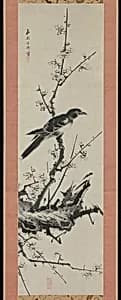 西園方済筆　梅に叭叭鳥図|Mynah Bird on Plum Branch