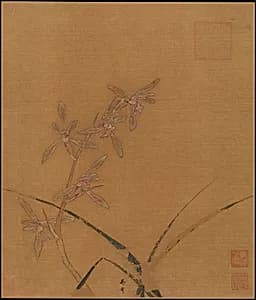 南宋 馬麟 蘭花圖 冊頁 絹本|Orchids