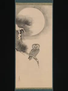 Owl on a Pine Branch
