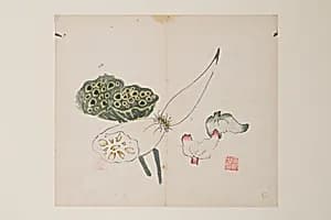 明 十竹齋書畫譜 四開|Page from Shi Zhu Zhai by Unknown Artist