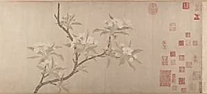 元 佚名 倣錢選 梨花圖 卷|Pear Blossoms by Unidentified|Qian Xuan