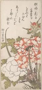 Portrait of Yanagawa Shigemasa