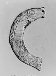 商至西周 玉鱼|Plaque in the shape of a fish by Unknown Artist