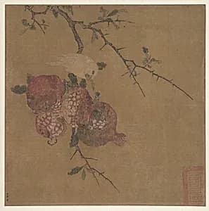 明/清 佚名 傳馬麟 石榴白鳥圖 冊頁	|Pomegranates after Ma Lin