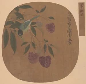 Purple Lichees and Bird