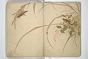 森春渓画　『春渓画譜』|Shunkei Picture Album (Shunkei gafu) 春渓画譜