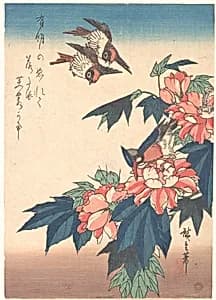 紅蜀葵に燕と川蝉図|Swallows and Kingfisher with Rose Mallows  by Utagawa Hiroshige